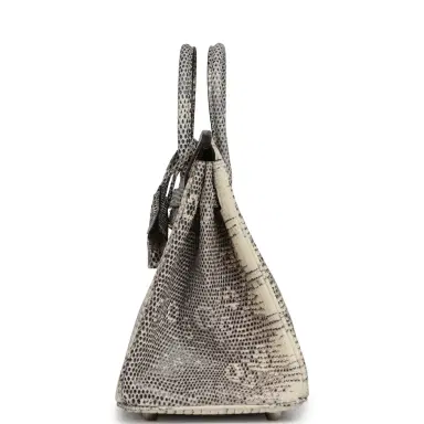 HERMÈS Hermes Birkin 25 Ombre Shiny Varanus Salvator Lizard Palladium Hardware | Thumbnail 3 HERMÈS Hermes Birkin 25 Ombre Shiny Varanus Salvator Lizard Palladium Hardware | Thumbnail 3