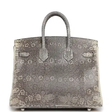 HERMÈS Hermes Birkin 25 Ombre Shiny Varanus Salvator Lizard Palladium Hardware | Thumbnail 4 HERMÈS Hermes Birkin 25 Ombre Shiny Varanus Salvator Lizard Palladium Hardware | Thumbnail 4