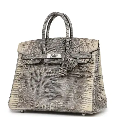 HERMÈS Hermes Birkin 25 Ombre Shiny Varanus Salvator Lizard Palladium Hardware | Thumbnail 5 HERMÈS Hermes Birkin 25 Ombre Shiny Varanus Salvator Lizard Palladium Hardware | Thumbnail 5