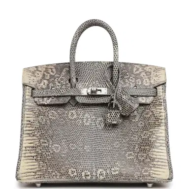 HERMÈS Hermes Birkin 25 Ombre Shiny Varanus Salvator Lizard Palladium Hardware | Thumbnail 1 HERMÈS Hermes Birkin 25 Ombre Shiny Varanus Salvator Lizard Palladium Hardware | Thumbnail 1