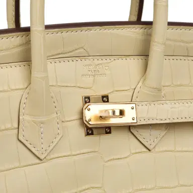 HERMÈS Hermes Birkin 25 Vanille Matte Alligator Gold Hardware | Thumbnail 7 HERMÈS Hermes Birkin 25 Vanille Matte Alligator Gold Hardware | Thumbnail 7