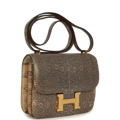 HERMÈS Hermes Constance 18 Ombre Shiny Varanus Salvator Lizard Gold Hardware | Thumbnail 2 HERMÈS Hermes Constance 18 Ombre Shiny Varanus Salvator Lizard Gold Hardware | Thumbnail 2