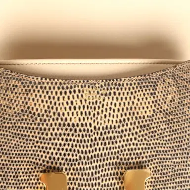 HERMÈS Hermes Constance 18 Ombre Shiny Varanus Salvator Lizard Gold Hardware | Thumbnail 8 HERMÈS Hermes Constance 18 Ombre Shiny Varanus Salvator Lizard Gold Hardware | Thumbnail 8