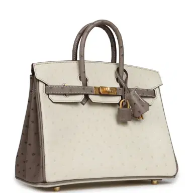 HERMÈS Hermes Special Order (HSS) Birkin 25 Beton, Gris Tourterelle Ostrich Brushed Gold Hardware | Thumbnail 2 HERMÈS Hermes Special Order (HSS) Birkin 25 Beton, Gris Tourterelle Ostrich Brushed Gold Hardware | Thumbnail 2