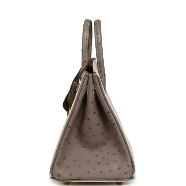 HERMÈS Hermes Special Order (HSS) Birkin 25 Beton, Gris Tourterelle Ostrich Brushed Gold Hardware | Thumbnail 3 HERMÈS Hermes Special Order (HSS) Birkin 25 Beton, Gris Tourterelle Ostrich Brushed Gold Hardware | Thumbnail 3