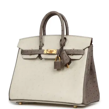 HERMÈS Hermes Special Order (HSS) Birkin 25 Beton, Gris Tourterelle Ostrich Brushed Gold Hardware | Thumbnail 5 HERMÈS Hermes Special Order (HSS) Birkin 25 Beton, Gris Tourterelle Ostrich Brushed Gold Hardware | Thumbnail 5