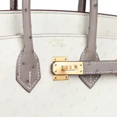 HERMÈS Hermes Special Order (HSS) Birkin 25 Beton, Gris Tourterelle Ostrich Brushed Gold Hardware | Thumbnail 7 HERMÈS Hermes Special Order (HSS) Birkin 25 Beton, Gris Tourterelle Ostrich Brushed Gold Hardware | Thumbnail 7