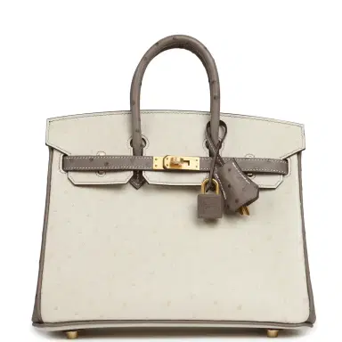 HERMÈS Hermes Special Order (HSS) Birkin 25 Beton, Gris Tourterelle Ostrich Brushed Gold Hardware | Thumbnail 1 HERMÈS Hermes Special Order (HSS) Birkin 25 Beton, Gris Tourterelle Ostrich Brushed Gold Hardware | Thumbnail 1