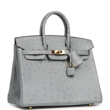 HERMÈS Pre-owned Hermes Birkin 25 Bleu Glacier Ostrich Gold Hardware | Thumbnail 2 HERMÈS Pre-owned Hermes Birkin 25 Bleu Glacier Ostrich Gold Hardware | Thumbnail 2