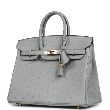 HERMÈS Pre-owned Hermes Birkin 25 Bleu Glacier Ostrich Gold Hardware | Thumbnail 5 HERMÈS Pre-owned Hermes Birkin 25 Bleu Glacier Ostrich Gold Hardware | Thumbnail 5