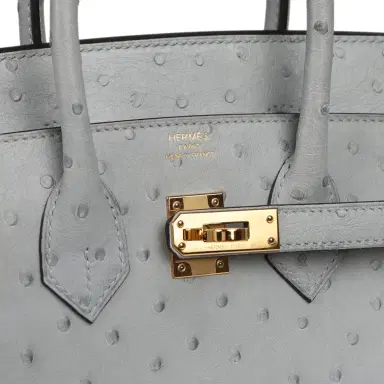 HERMÈS Pre-owned Hermes Birkin 25 Bleu Glacier Ostrich Gold Hardware | Thumbnail 7 HERMÈS Pre-owned Hermes Birkin 25 Bleu Glacier Ostrich Gold Hardware | Thumbnail 7