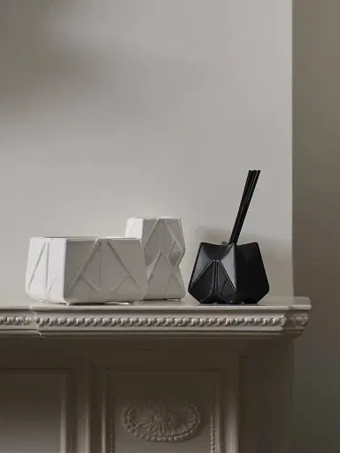 Zaha Hadid Design Prime Reed Diffuser - Black | Thumbnail 4 Zaha Hadid Design Prime Reed Diffuser - Black | Thumbnail 4