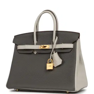 HERMÈS Hermes Special Order (HSS) Birkin 25 Etain, Craie Togo Brushed Gold Hardware | Thumbnail 5 HERMÈS Hermes Special Order (HSS) Birkin 25 Etain, Craie Togo Brushed Gold Hardware | Thumbnail 5