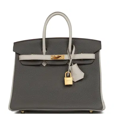HERMÈS Hermes Special Order (HSS) Birkin 25 Etain, Craie Togo Brushed Gold Hardware | Thumbnail 1 HERMÈS Hermes Special Order (HSS) Birkin 25 Etain, Craie Togo Brushed Gold Hardware | Thumbnail 1