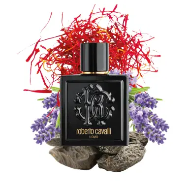 Roberto Cavalli ROBERTO CAVALLI UOMO EAU DE TOILETTE 100 ML | Thumbnail 5 Roberto Cavalli ROBERTO CAVALLI UOMO EAU DE TOILETTE 100 ML | Thumbnail 5