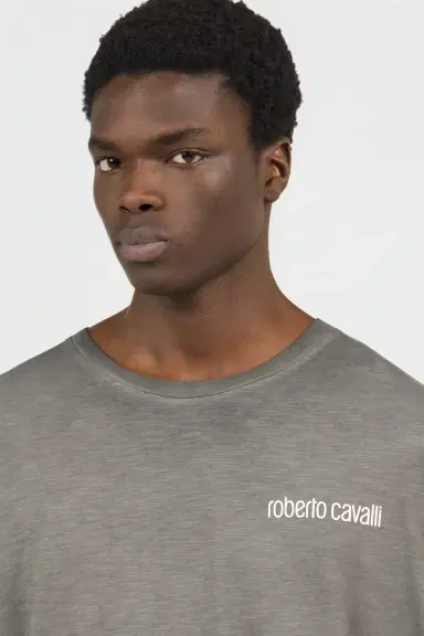 Roberto Cavalli Grey T-Shirt with Back Snake Print | Thumbnail 4 Roberto Cavalli Grey T-Shirt with Back Snake Print | Thumbnail 4