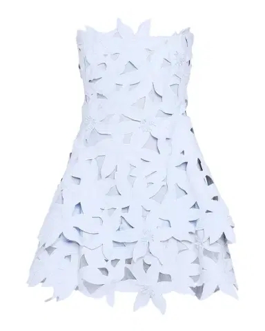 Simkhai Miri Floral Embroidered Mini Dress | Thumbnail 1 Simkhai Miri Floral Embroidered Mini Dress | Thumbnail 1