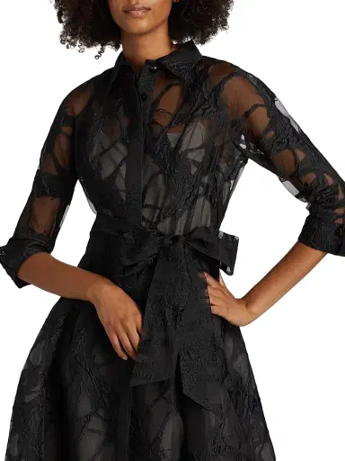 Teri Jon by Rickie Freeman Women's Web Organza Shirtwaist Gown - Black Beige | Thumbnail 6 Teri Jon by Rickie Freeman Women's Web Organza Shirtwaist Gown - Black Beige | Thumbnail 6