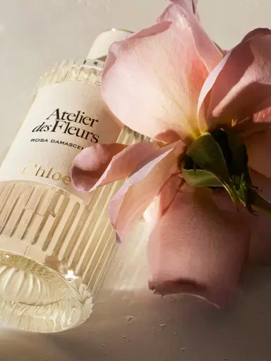 Chloé Atelier des Fleurs Rosa Damascena Eau de Parfum 5.1 fl oz | Thumbnail 5 Chloé Atelier des Fleurs Rosa Damascena Eau de Parfum 5.1 fl oz | Thumbnail 5