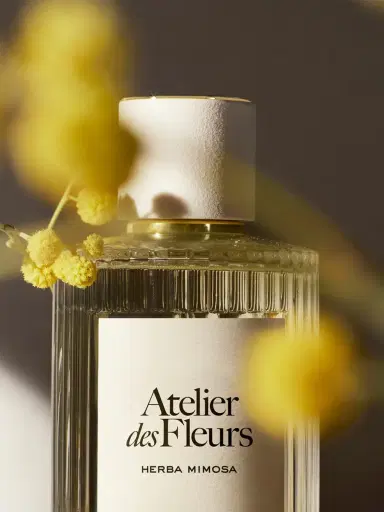 Chloé Atelier des Fleurs Herba Mimosa Eau de Parfum 5.1 fl oz | Thumbnail 4 Chloé Atelier des Fleurs Herba Mimosa Eau de Parfum 5.1 fl oz | Thumbnail 4