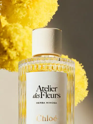 Chloé Atelier des Fleurs Herba Mimosa Eau de Parfum 5.1 fl oz | Thumbnail 5 Chloé Atelier des Fleurs Herba Mimosa Eau de Parfum 5.1 fl oz | Thumbnail 5