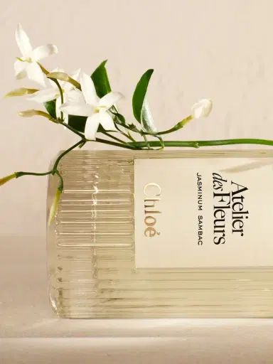 Chloé Atelier des Fleurs Jasminum Sambac Eau de Parfum 5.1 fl oz | Thumbnail 5 Chloé Atelier des Fleurs Jasminum Sambac Eau de Parfum 5.1 fl oz | Thumbnail 5