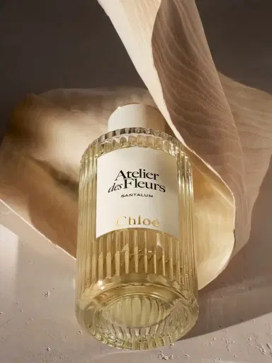Chloé Atelier des Fleurs Santalum Eau de Parfum 5.1 fl oz | Thumbnail 5 Chloé Atelier des Fleurs Santalum Eau de Parfum 5.1 fl oz | Thumbnail 5