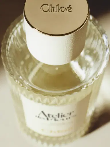 Chloé Atelier des Fleurs Cedrus Eau de Parfum 5.1 fl oz | Thumbnail 6 Chloé Atelier des Fleurs Cedrus Eau de Parfum 5.1 fl oz | Thumbnail 6