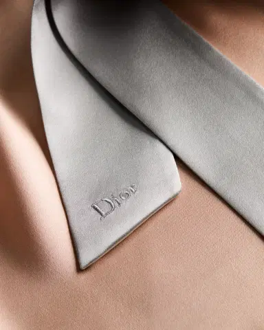 Dior Short-Sleeved Blouse with Rear Tie | Thumbnail 9 Dior Short-Sleeved Blouse with Rear Tie | Thumbnail 9