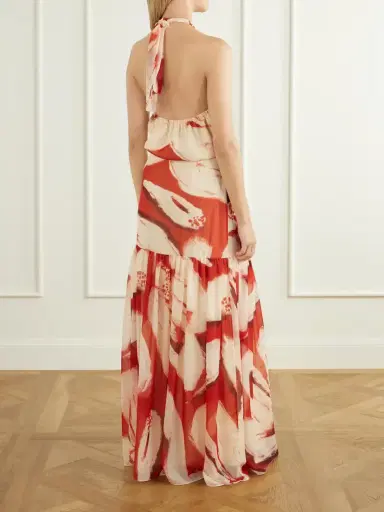 ANDRES OTALORA Un Martini Floral-print Chiffon Maxi Dress | Thumbnail 3 ANDRES OTALORA Un Martini Floral-print Chiffon Maxi Dress | Thumbnail 3