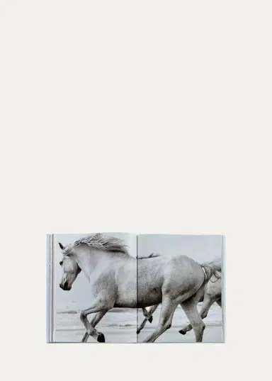 Graphic Image "Untamed Spirits: Horses From Around the World" Leather-Bound Book by Drew Doggett | Thumbnail 4 Graphic Image "Untamed Spirits: Horses From Around the World" Leather-Bound Book by Drew Doggett | Thumbnail 4