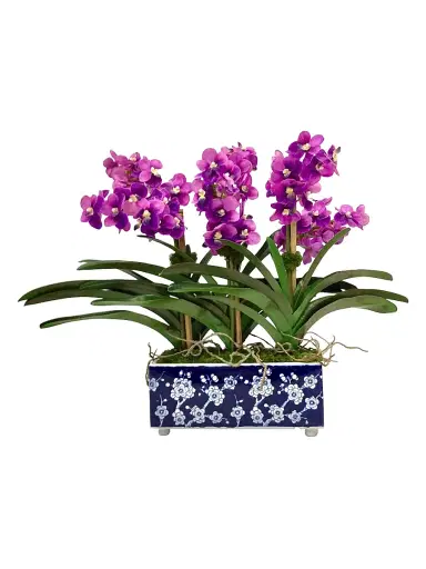 Winward Home Everyday Newness Refresh Imitation Vanda Orchid In Ceramic Vessel - Lavender Purple | Thumbnail 1 Winward Home Everyday Newness Refresh Imitation Vanda Orchid In Ceramic Vessel - Lavender Purple | Thumbnail 1