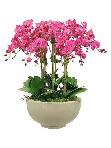Winward Home Everyday Newness Refresh Faux Orchid Arrangement - Purple White | Thumbnail 1 Winward Home Everyday Newness Refresh Faux Orchid Arrangement - Purple White | Thumbnail 1