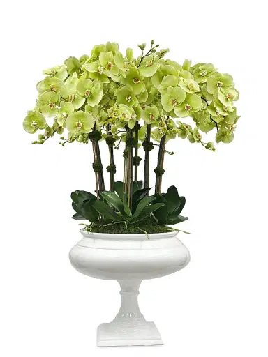 Winward Home Everyday Newness Refresh Faux Orchid Arrangement | Thumbnail 1 Winward Home Everyday Newness Refresh Faux Orchid Arrangement | Thumbnail 1