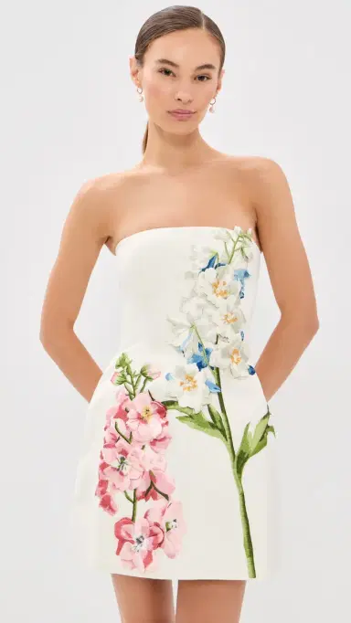 LEO LIN Roselle Embroidered Bustier Mini Dress | Thumbnail 2 LEO LIN Roselle Embroidered Bustier Mini Dress | Thumbnail 2