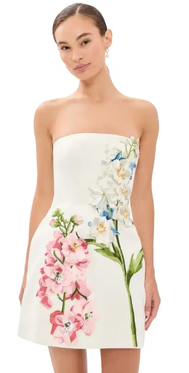 LEO LIN Roselle Embroidered Bustier Mini Dress | Thumbnail 1 LEO LIN Roselle Embroidered Bustier Mini Dress | Thumbnail 1