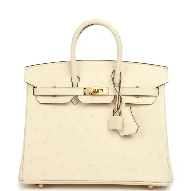 HERMÈS Hermes Birkin 25 Nata Ostrich Boreal Gold Hardware | Thumbnail 1 HERMÈS Hermes Birkin 25 Nata Ostrich Boreal Gold Hardware | Thumbnail 1