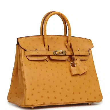 HERMÈS Hermes Birkin 25 Safran Ostrich Gold Hardware | Thumbnail 2 HERMÈS Hermes Birkin 25 Safran Ostrich Gold Hardware | Thumbnail 2
