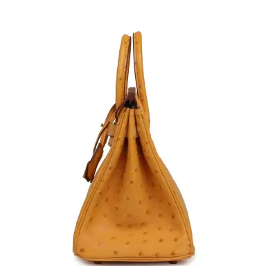 HERMÈS Hermes Birkin 25 Safran Ostrich Gold Hardware | Thumbnail 3 HERMÈS Hermes Birkin 25 Safran Ostrich Gold Hardware | Thumbnail 3