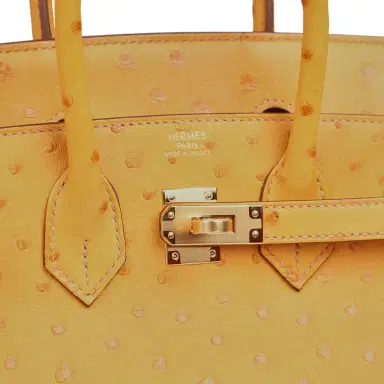 HERMÈS Hermes Birkin 25 Safran Ostrich Gold Hardware | Thumbnail 7 HERMÈS Hermes Birkin 25 Safran Ostrich Gold Hardware | Thumbnail 7