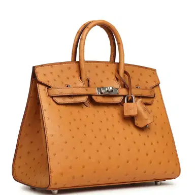 HERMÈS Hermes Birkin Sellier 25 Gold Ostrich Palladium Hardware | Thumbnail 2 HERMÈS Hermes Birkin Sellier 25 Gold Ostrich Palladium Hardware | Thumbnail 2