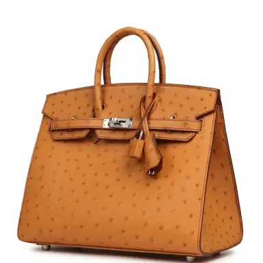 HERMÈS Hermes Birkin Sellier 25 Gold Ostrich Palladium Hardware | Thumbnail 5 HERMÈS Hermes Birkin Sellier 25 Gold Ostrich Palladium Hardware | Thumbnail 5