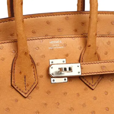 HERMÈS Hermes Birkin Sellier 25 Gold Ostrich Palladium Hardware | Thumbnail 7 HERMÈS Hermes Birkin Sellier 25 Gold Ostrich Palladium Hardware | Thumbnail 7