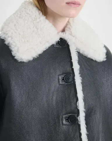 Altuzarra Blake Lamb Shearling Oversized Coat | Thumbnail 5 Altuzarra Blake Lamb Shearling Oversized Coat | Thumbnail 5
