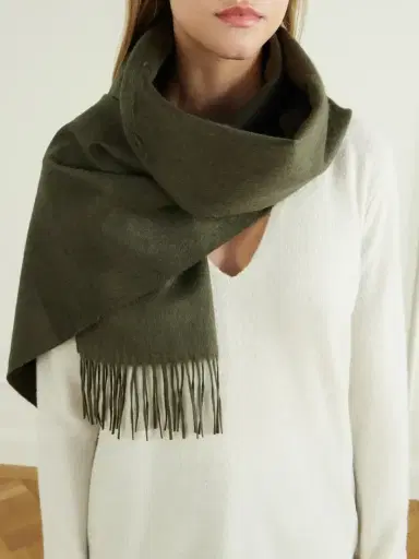 Gabriela Hearst Blaine Fringed Silk And Cashmere-blend Scarf | Thumbnail 2 Gabriela Hearst Blaine Fringed Silk And Cashmere-blend Scarf | Thumbnail 2