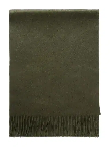 Gabriela Hearst Blaine Fringed Silk And Cashmere-blend Scarf | Thumbnail 1 Gabriela Hearst Blaine Fringed Silk And Cashmere-blend Scarf | Thumbnail 1