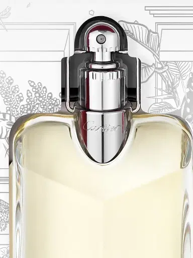 Cartier Déclaration Eau de Toilette 2-Piece Gift Set | Thumbnail 4 Cartier Déclaration Eau de Toilette 2-Piece Gift Set | Thumbnail 4