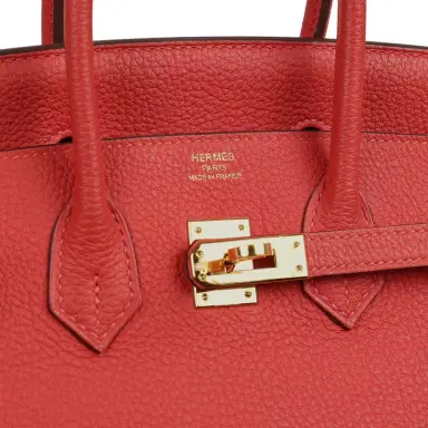HERMÈS Pre-owned Hermes Birkin 25 Rouge Pivone Togo Gold Hardware | Thumbnail 7 HERMÈS Pre-owned Hermes Birkin 25 Rouge Pivone Togo Gold Hardware | Thumbnail 7