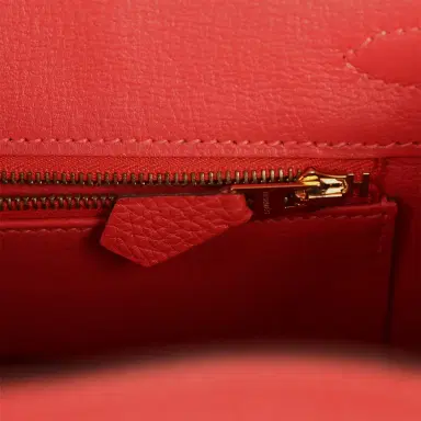 HERMÈS Pre-owned Hermes Birkin 25 Rouge Pivone Togo Gold Hardware | Thumbnail 8 HERMÈS Pre-owned Hermes Birkin 25 Rouge Pivone Togo Gold Hardware | Thumbnail 8