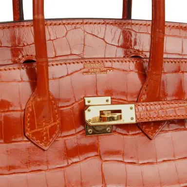 HERMÈS Vintage Hermes Birkin 25 Pain D'Epice Shiny Niloticus Crocodile Gold Hardware | Thumbnail 7 HERMÈS Vintage Hermes Birkin 25 Pain D'Epice Shiny Niloticus Crocodile Gold Hardware | Thumbnail 7